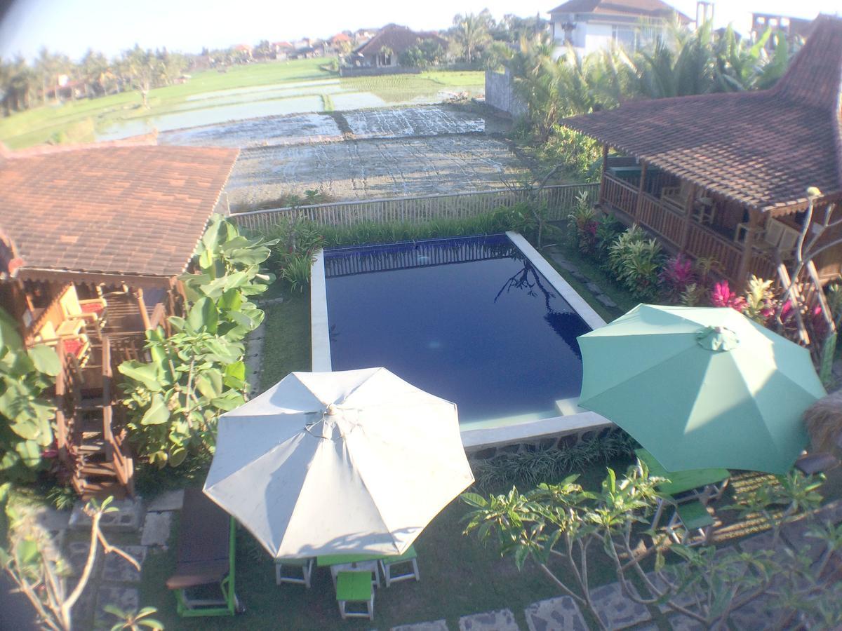 Green Paddy Hostel & Villa Ubud  Exterior photo
